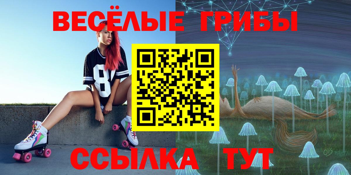 Псилоцибиновые грибы Psilocybine cubensis Екатеринбург