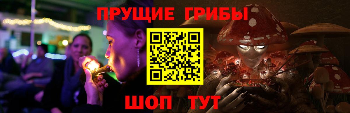 Екатеринбург  Галлюциногенные грибы GOLDEN TEACHER  Псилоцибиновые грибы прущие грибы  Вход с VPN 